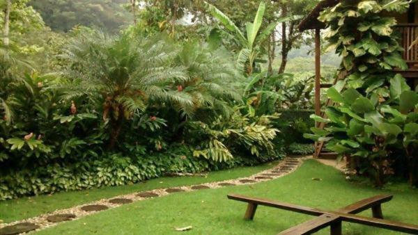 Quintal Da Mata Hotel Camburi  Bagian luar foto
